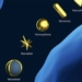 gold artificial realizing the dream of humanity 131175