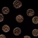 golden treasure discovered 2000 year old in wales