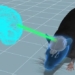 grafting experiment how brain development in people causes behavioral changes in mice 131079