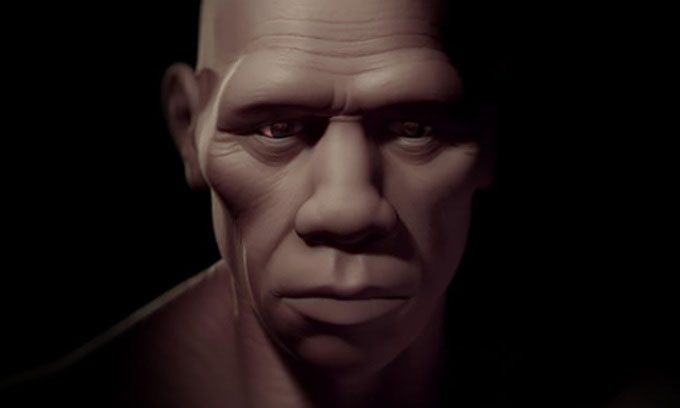 Illustration of Homo sapiens or modern humans.