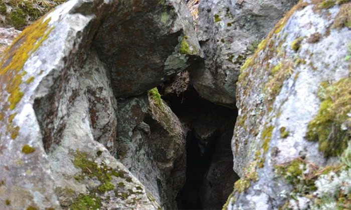 A rare resonance phenomenon in natural environments.