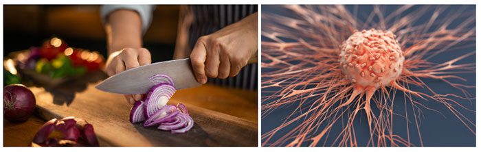 Experts often recommend not to eat too many onions.