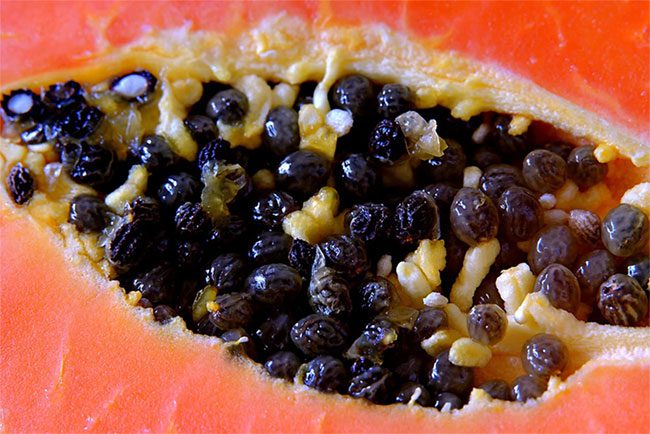 Papaya seeds protect kidney function due to their antioxidant content.