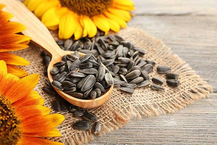 Sunflower Seeds