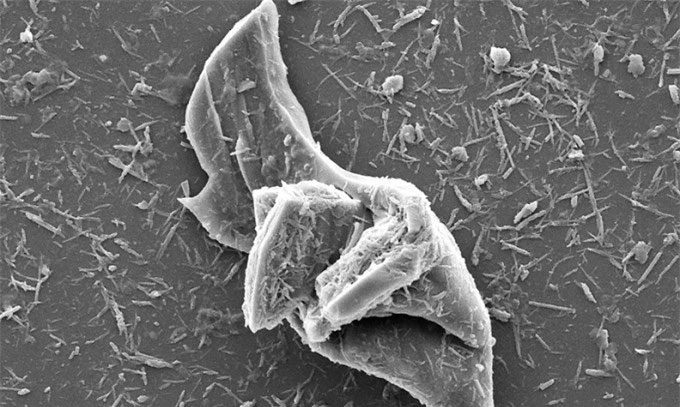 Tire particles under a microscope.