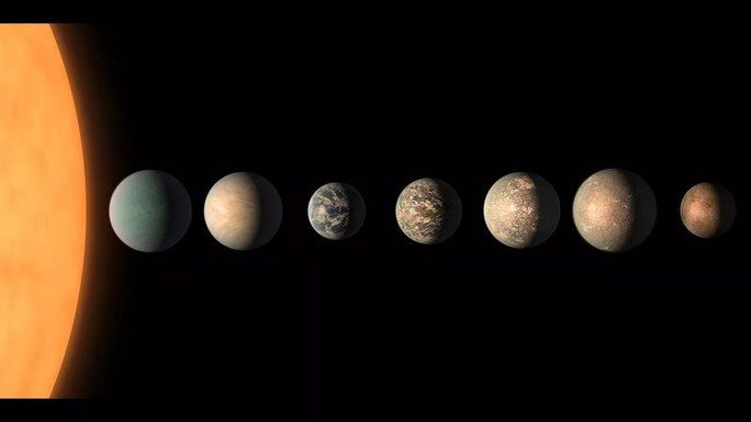 Seven "promised lands" for life around the TRAPPIST-1 star