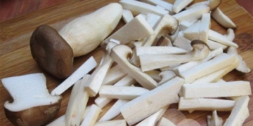 herbs like beef helping to cure cancer cell 129474
