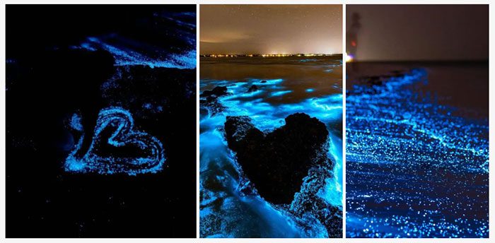 Sea of Stars phenomenon