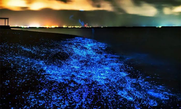 You don't always get to see this unique natural phenomenon.