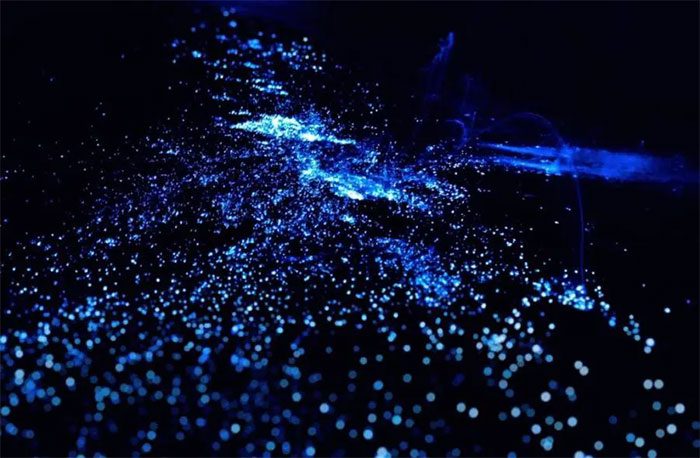 This spectacular event commonly occurs from late summer to near the end of the year.