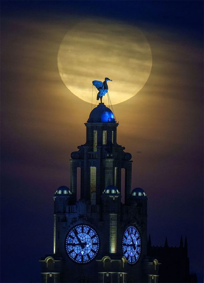 The Moon behind the Royal Liver Building and the Liver Bird statue in Liverpool, England