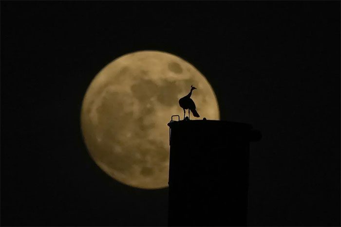 The nearly full Moon shining in the sky over Hyderabad, India