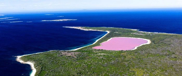 Lake Hillier is fascinating due to its distinctive pink color.