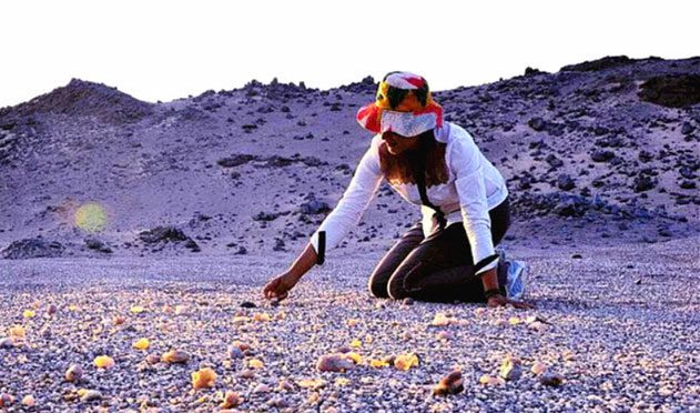 In addition to agate, Agate Lake also contains quartz, opal, and many other types of stones.