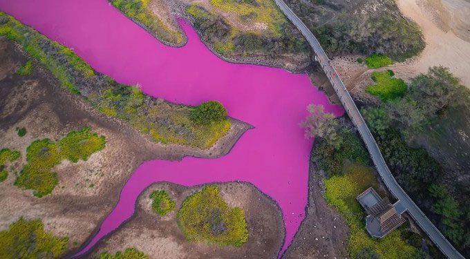Pink Lake