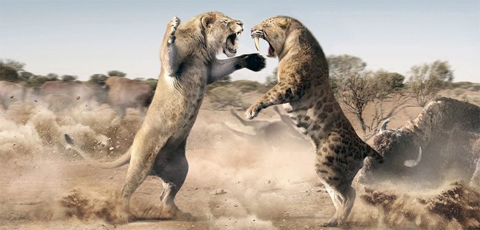 Saber-toothed cat