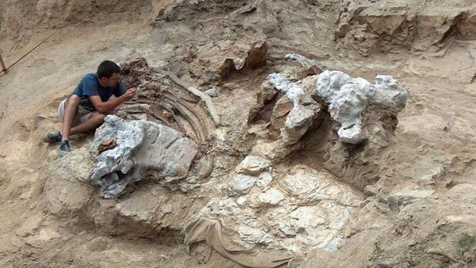 The excavation of the great fossil remains