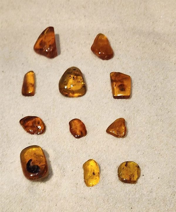 Fossilized amber.