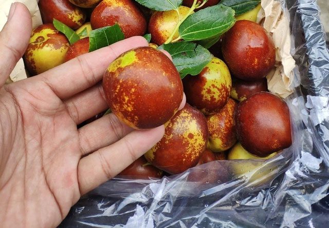Red dates contain many saponins - natural sleep enhancers.