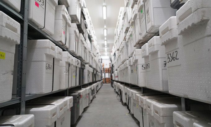 Insulated boxes containing ice core samples stacked on shelves in the repository in Copenhagen