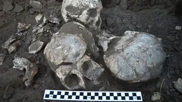 Four skulls, which experts believe may belong to men, buried together in a pit