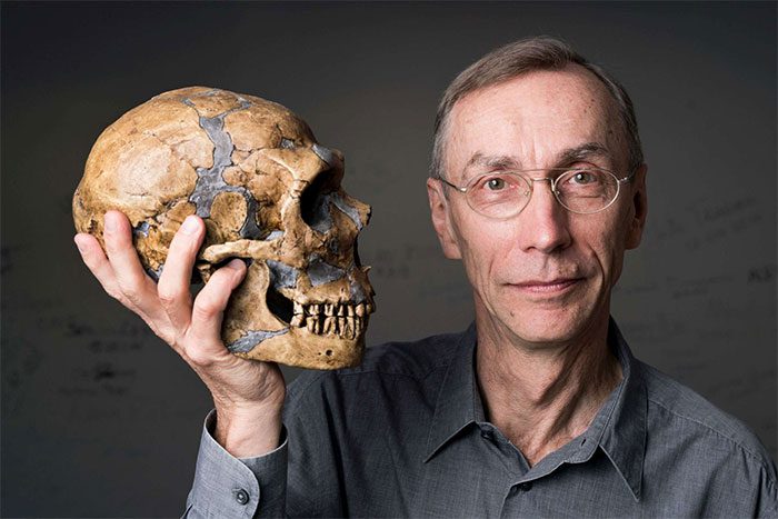 Neanderthal Skull