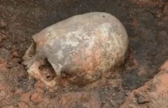 Skull found in Turkey.