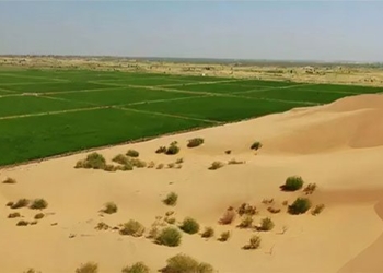 how china uses green sand to make coastal sand from 330000km2 130851