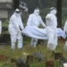 how dangerous is the nipah virus 130106