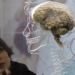 how many percent of the brain do humans use every day 129519