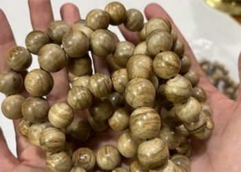 how to distinguish real and fake agarwood 130701