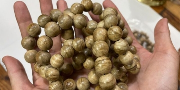 how to distinguish real and fake agarwood 130701