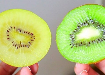 how to eat kiwi super nutritious many people dont know 131339