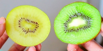 how to eat kiwi super nutritious many people dont know 131339