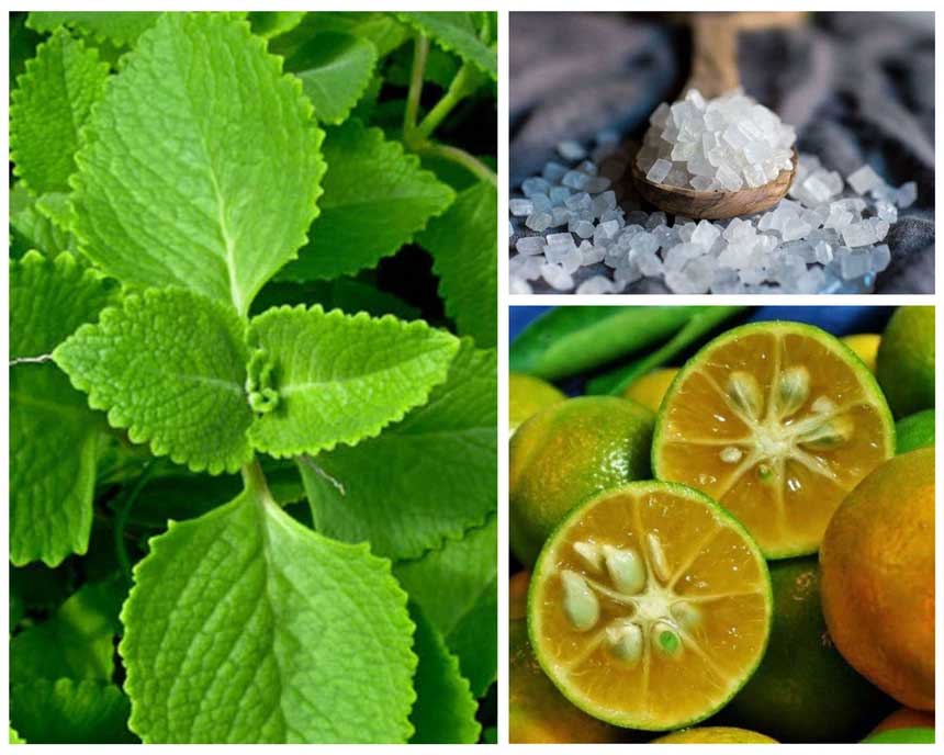 Combining Vietnamese balm, kumquat, and rock sugar helps reduce cough.