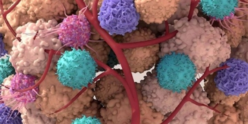 if cancer cells are injected into healthy people will they get cancer 131028