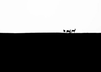images that change the way we see the natural world 130040
