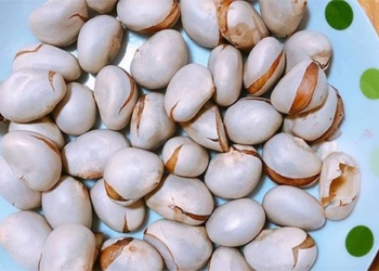 in the mit coconut has 1 super good thing for the intestines helping to enhance libido but often being thrown away 129626