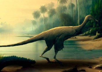 japan discovers living stone age dinosaur 121 million years old 129926