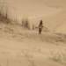 journey to victory of the bird nhan 131279
