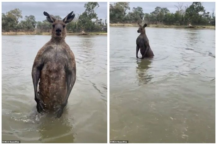 After the scuffle, the man turns away, leaving the "stranger" standing still in the river.