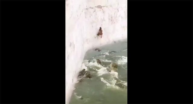 The monkey quickly jumped up to cling to the wall.