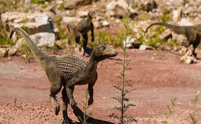 The new study suggests that the extinction of dinosaurs was due to toxic gases.