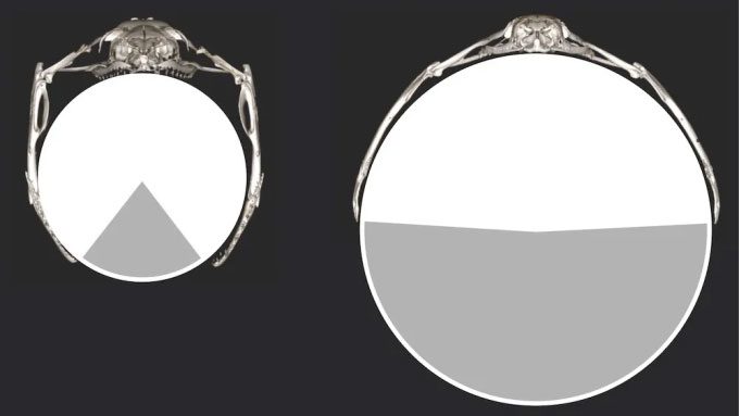 CT images showing the maximum mouth gape size of the rat snake (left) and the egg-eating snake (right)
