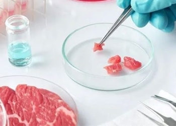 lab grown meat could replace traditional meat on the table 131407