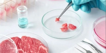 lab grown meat could replace traditional meat on the table 131407