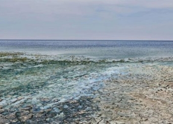 largest lithium mine in the world in saltwater 128544