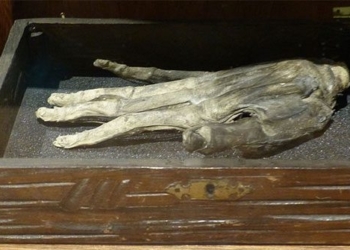 legend of the glorious hand 129381