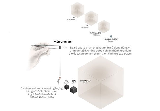 How a Nuclear Power Plant Operates