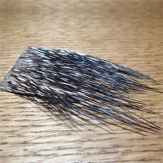 Collared peccary quills